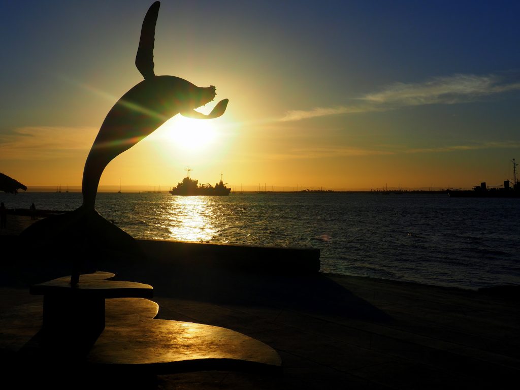 Escultura de ballena en La Paz Baja california Sur