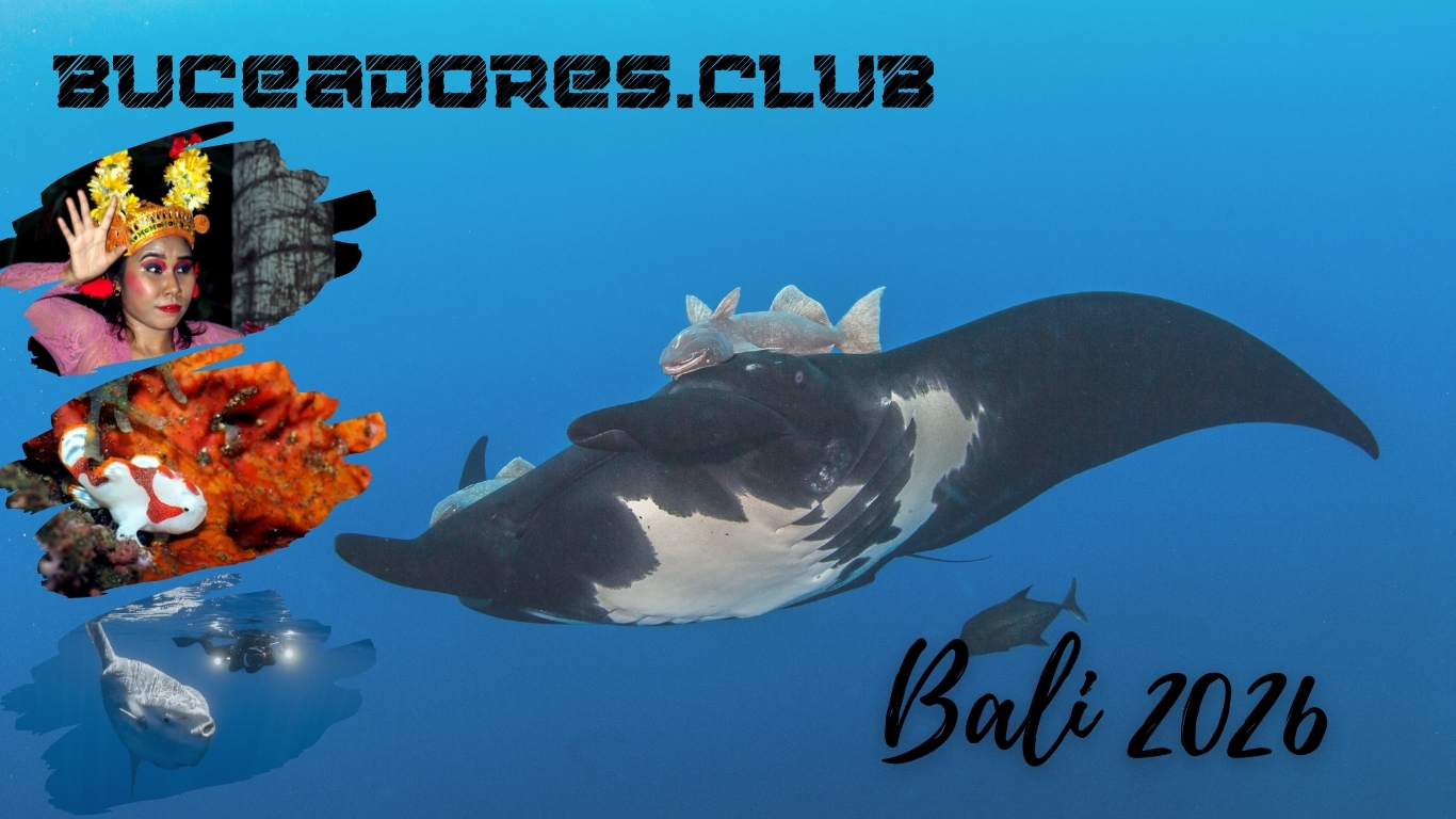 Vente al mejor viaje a Bali de 2026 con Buceadores.club