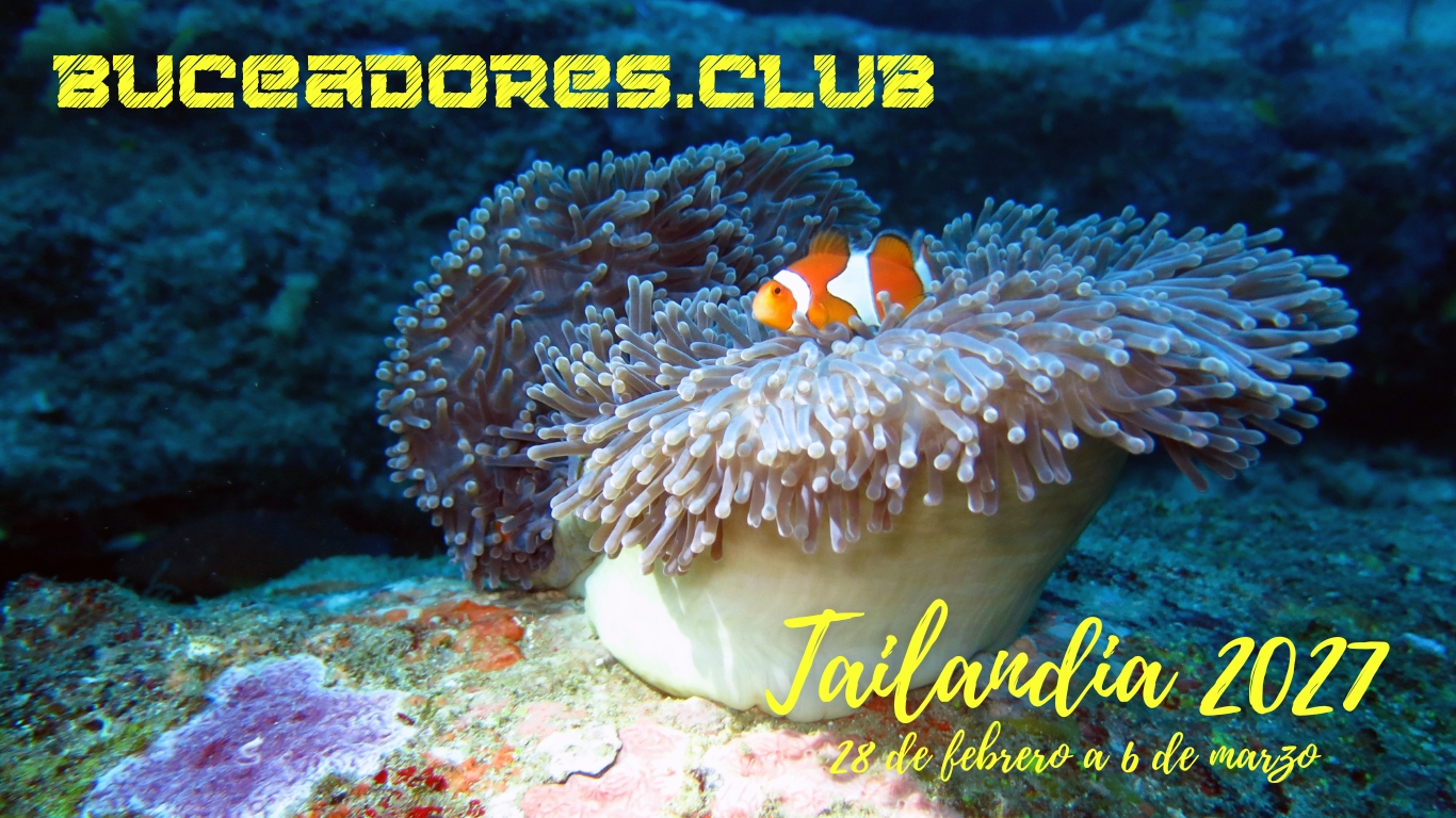 El mejor viaje de buceo a Tailandia, con el mejor club de buceo de España