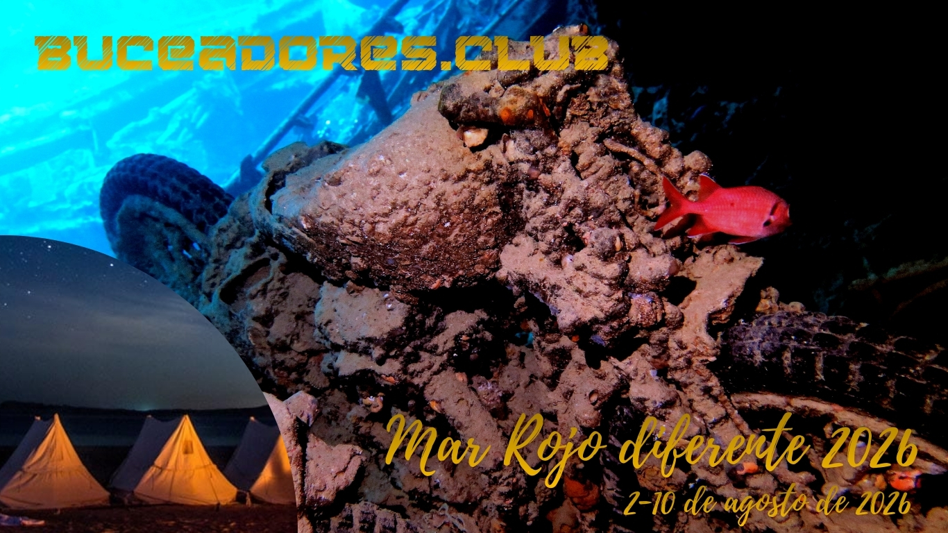 Vente al Mar Rojo de forma diferente este 2026 con el mejor club de buceo