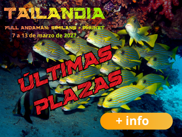 El mejor viaje de buceo a Tailandia de 2027 con el mejor club de buceo de Madrid